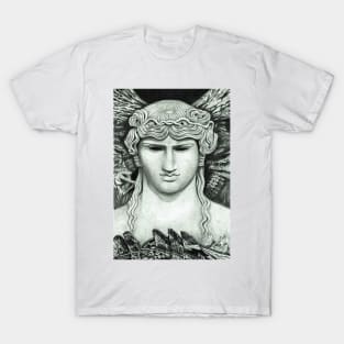 Antinous in the Nile T-Shirt